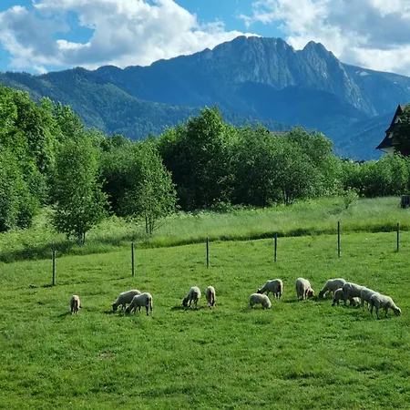 Podhalanska